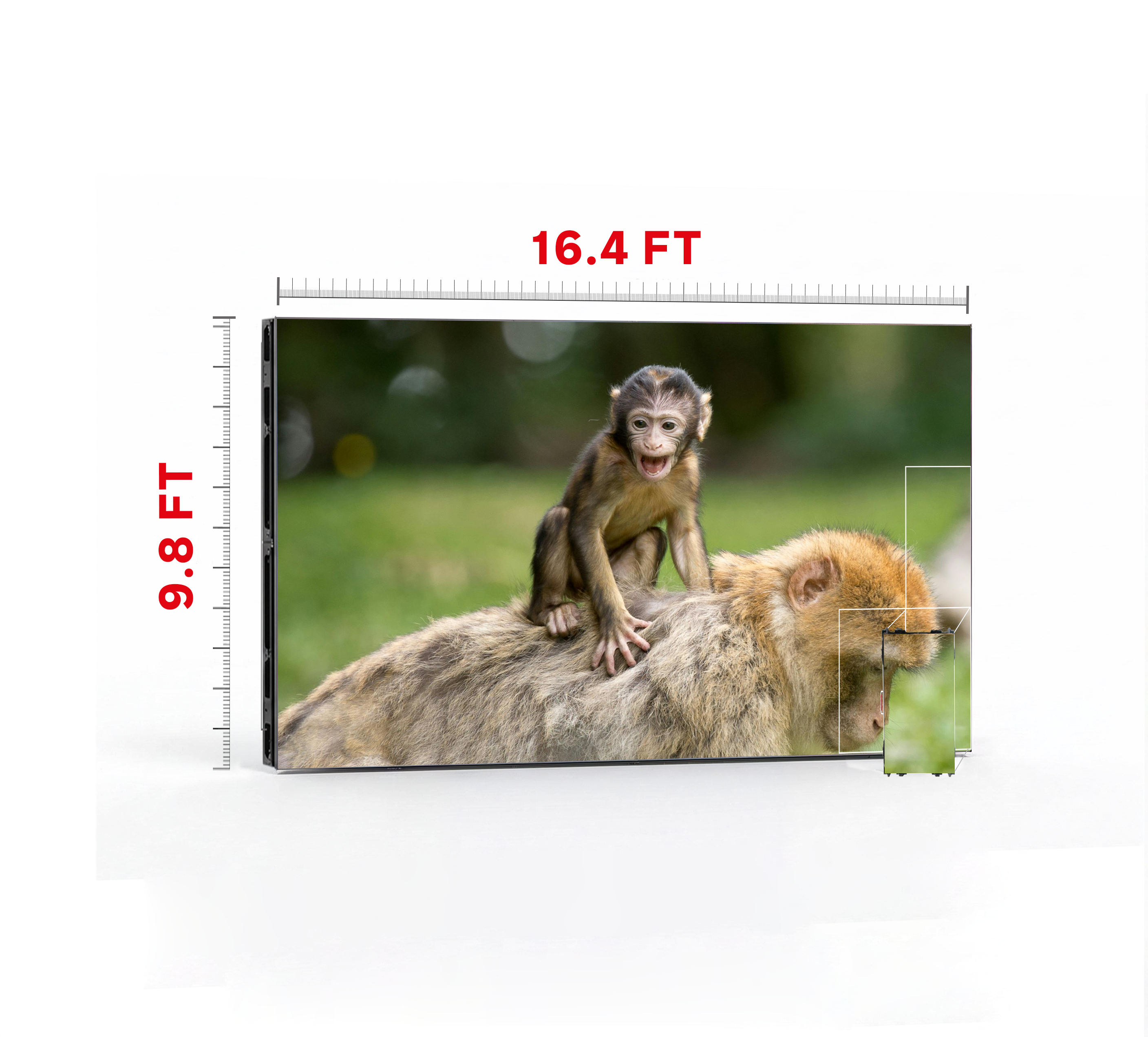 LED VIDEO WALL 16.4′ x 9.8′ P4.81 INDOOR 500x1000